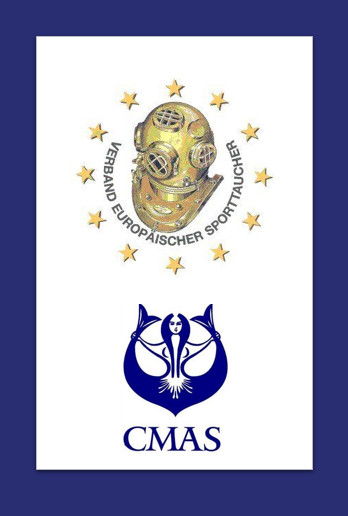 Logo VEST Helm Gold CMAS Nixe